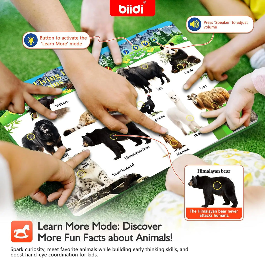 JahBri Animal Sound Talking Book – Interactive Sensory Learning Toy for Kids