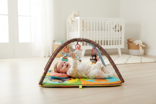 Baby Play Gym Lifestyle